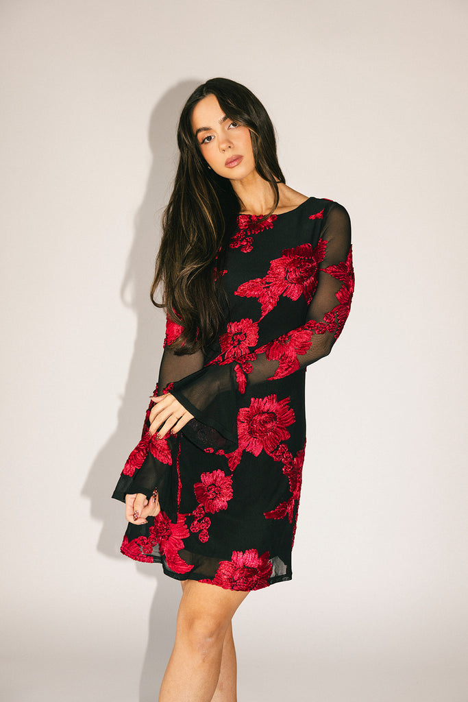 cleo mesh mini dress // red floral *zoco exclusive*