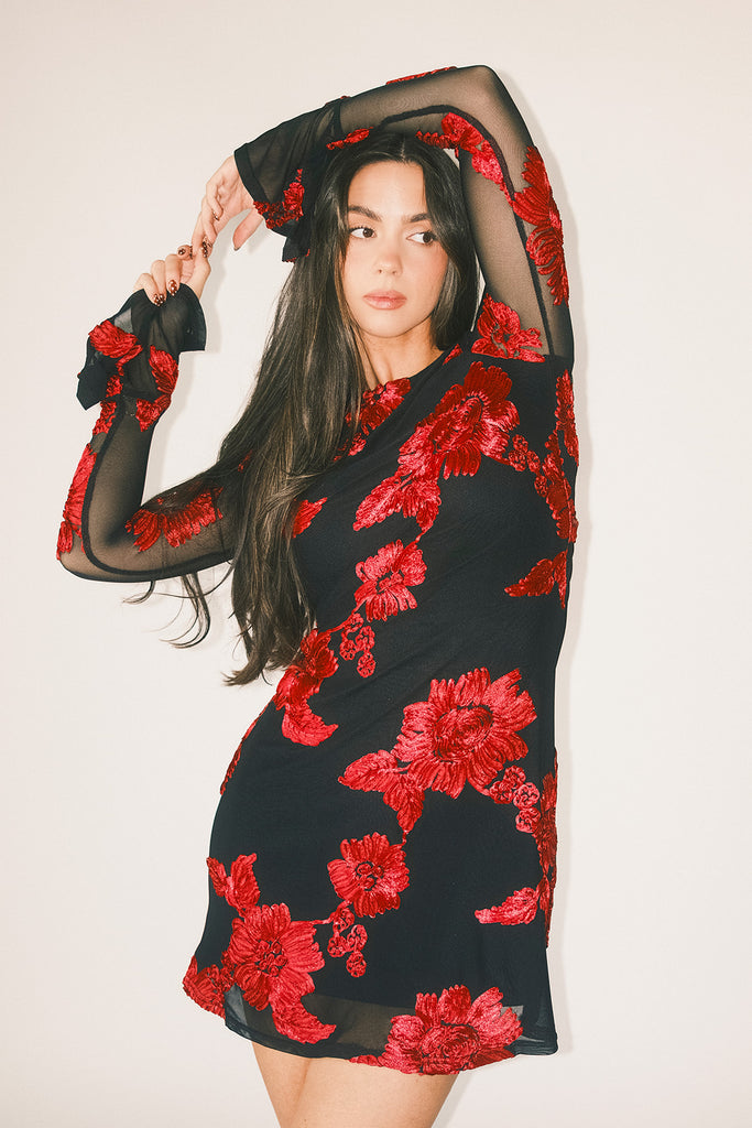 cleo mesh mini dress // red floral *zoco exclusive*