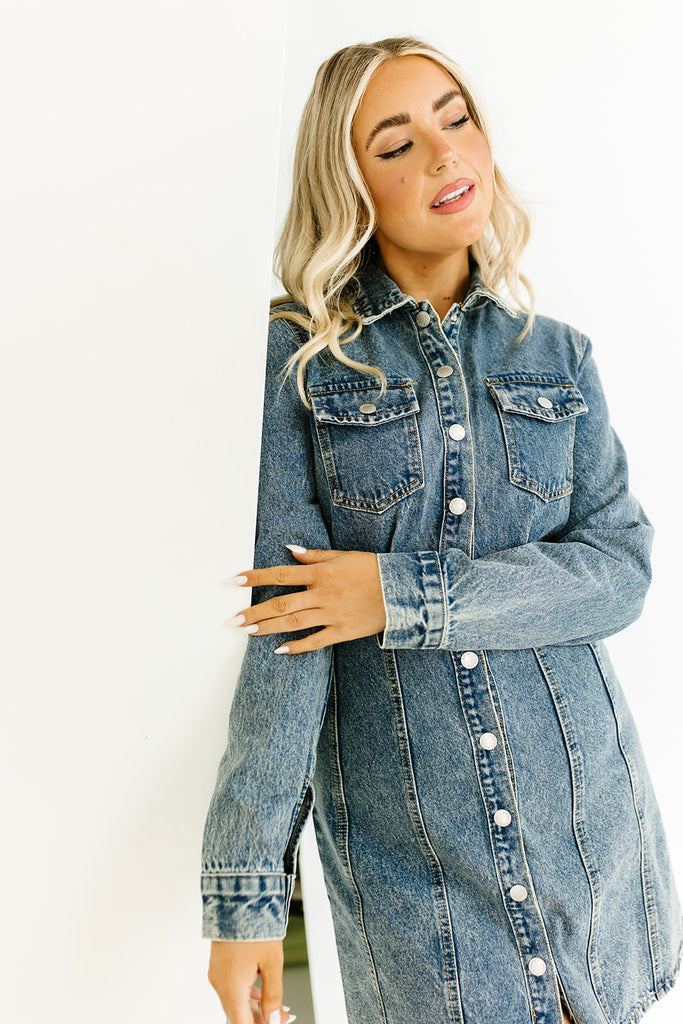 greta denim dress