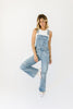 shay denim overalls