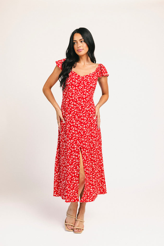 picnic in the park midi dress