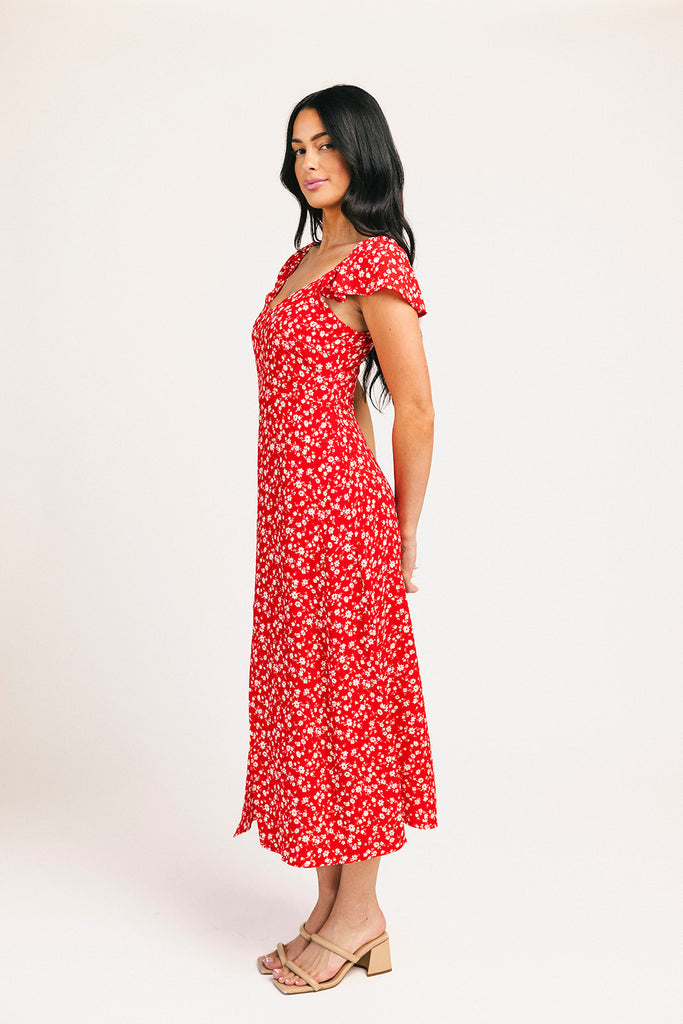 picnic in the park midi dress