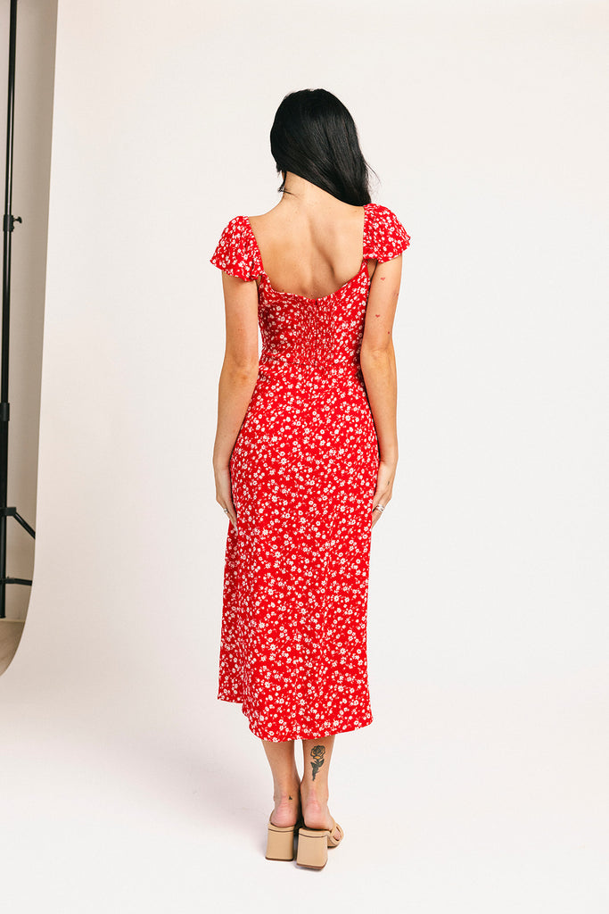 picnic in the park midi dress