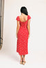 picnic in the park midi dress