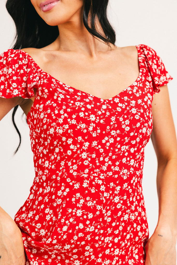 picnic in the park midi dress