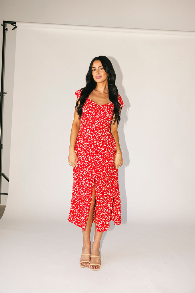 picnic in the park midi dress