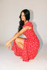 picnic in the park midi dress