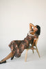 sloane midi dress // autumn *zoco exclusive*