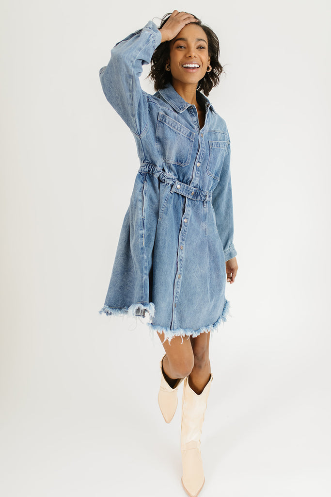 stella denim dress