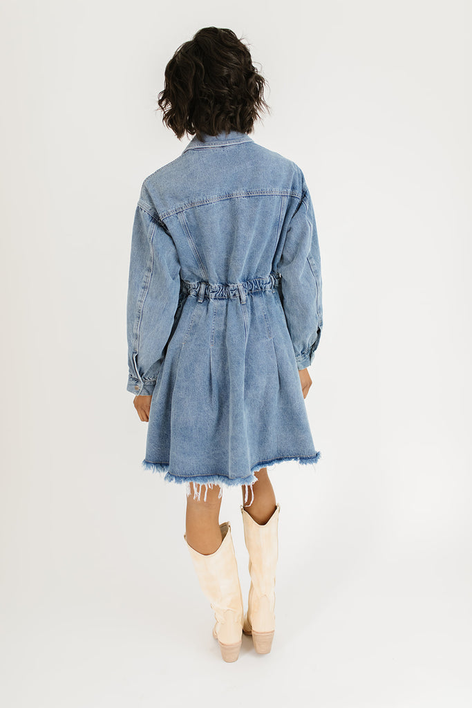 stella denim dress