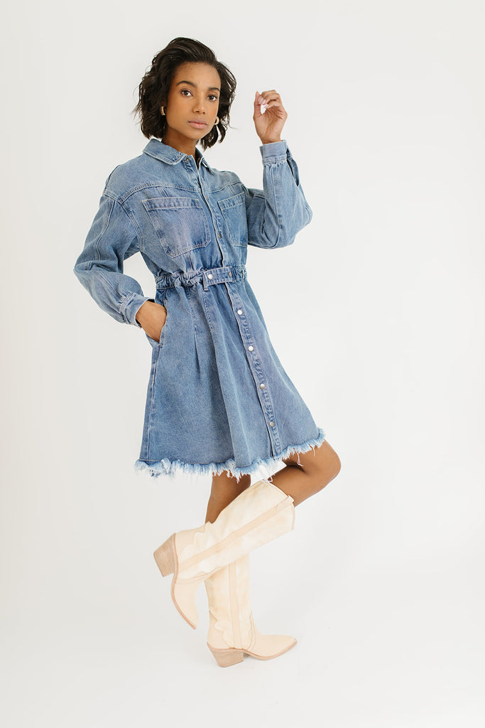 stella denim dress