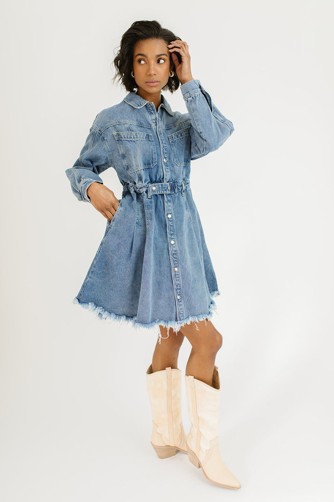 stella denim dress