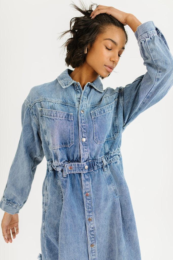 stella denim dress