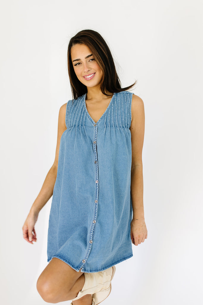 chessy denim mini dress