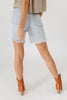 long story denim shorts