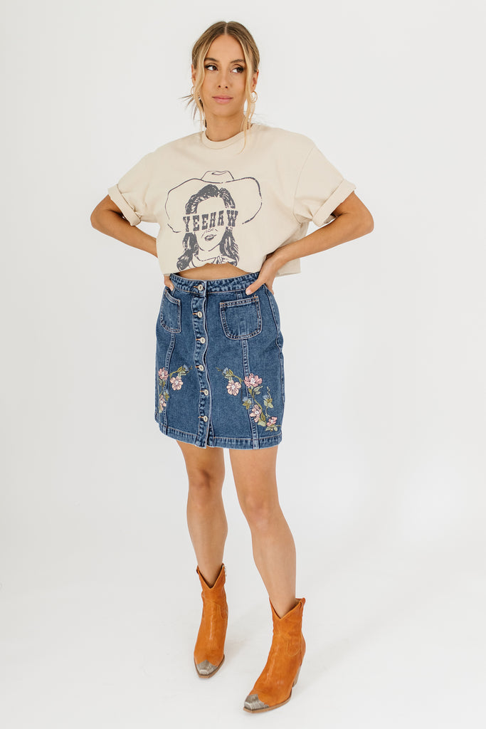 getting dizzy embroidered denim skirt