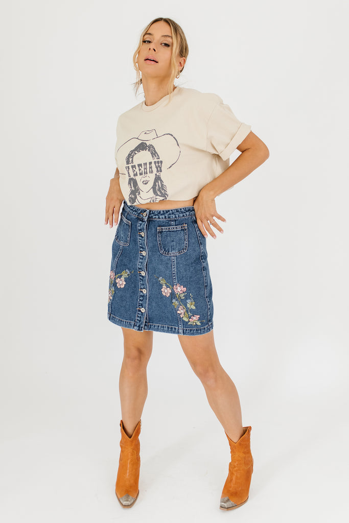 getting dizzy embroidered denim skirt